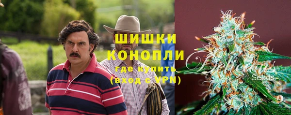 прущие грибы Верхнеуральск