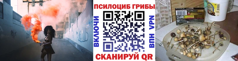 OMG как зайти  где купить наркоту  Новосокольники  Галлюциногенные грибы GOLDEN TEACHER 