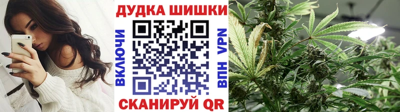Бошки марихуана Bruce Banner  где купить наркоту  Новосокольники 